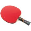 Butterfly Stayer 3000 Shakehand FL Table Tennis Racket with Rubber and 2 Balls